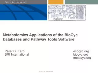Metabolomics Applications of the BioCyc Databases and Pathway Tools Software