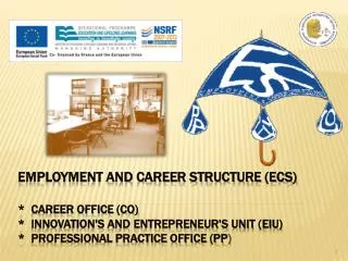 EMPLOYMENT AND CAREER STRUCTURE
