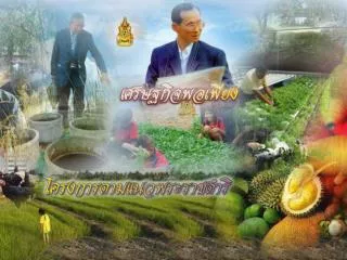 เศรษฐกิจพอเพียง