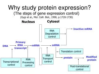 why study protein expression