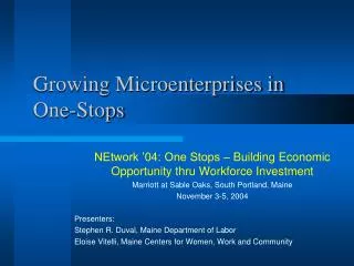 Growing Microenterprises in One-Stops
