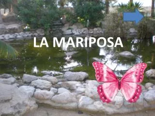 la mariposa