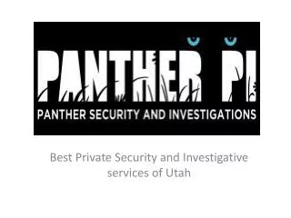 Panther PI - Best Private Security and Investigative service