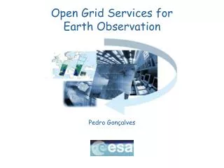 Open Grid Services for Earth Observation