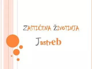 Z aštićena ž ivotinja