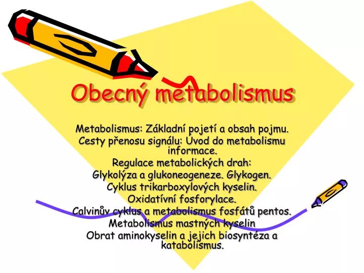 obecn metabolismus