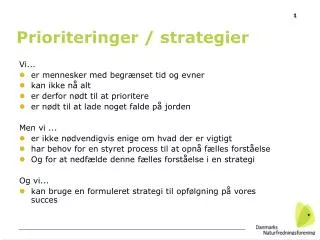 prioriteringer strategier
