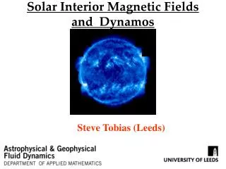 Solar Interior Magnetic Fields and Dynamos