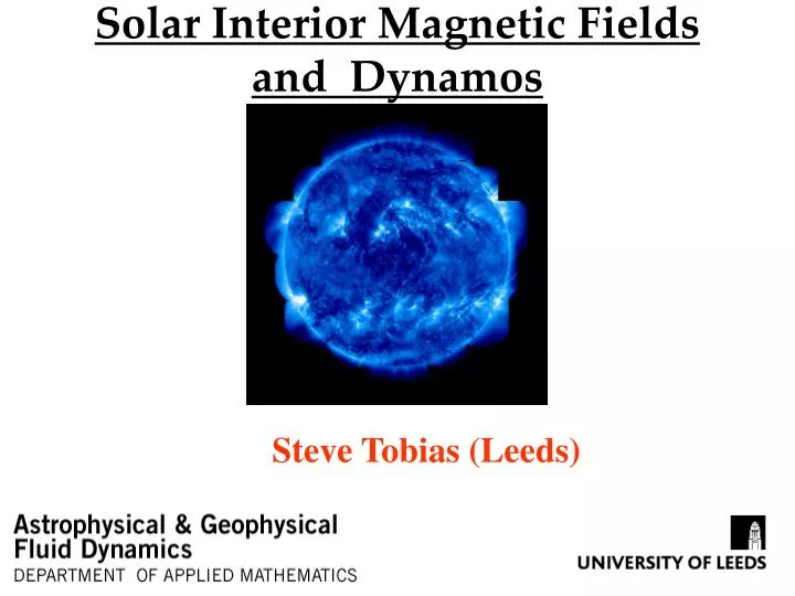 solar interior magnetic fields and dynamos