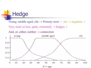 hedge