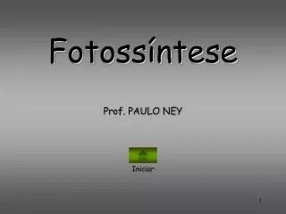 fotoss ntese