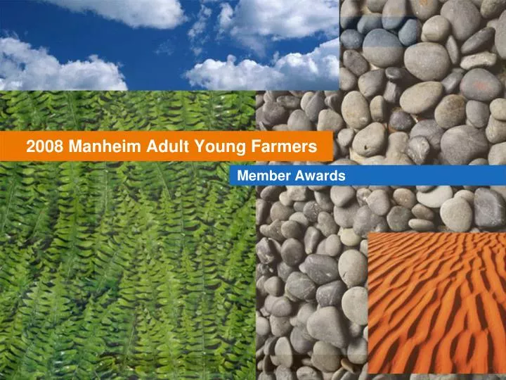 2008 manheim adult young farmers