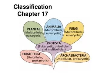 Classification Chapter 17