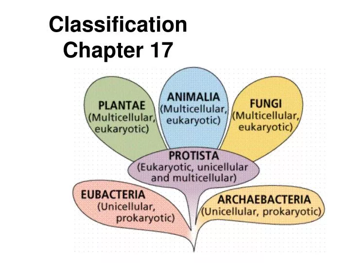 classification chapter 17