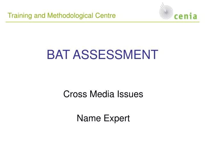 bat assessment