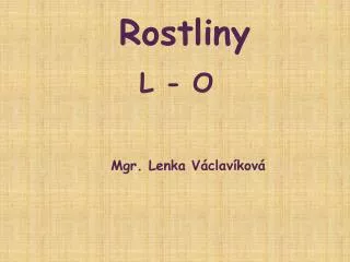 rostliny