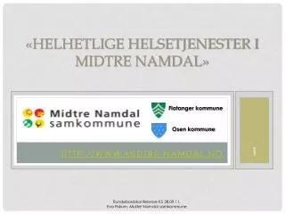 helhetlige helsetjenester i midtre namdal