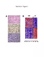 Nutt et al - Figure 1