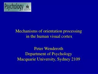 Mechanisms of orientation processing in the human visual cortex