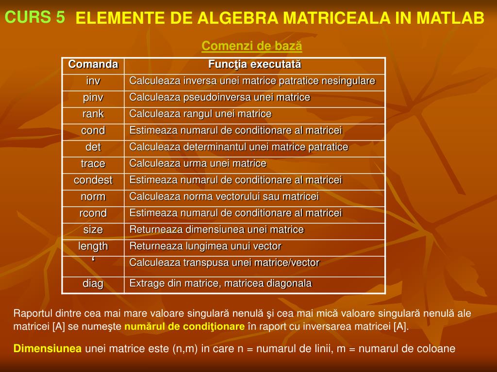 PPT - ELEMENTE DE ALGEBRA MATRICEALA IN MATLAB PowerPoint Presentation ...