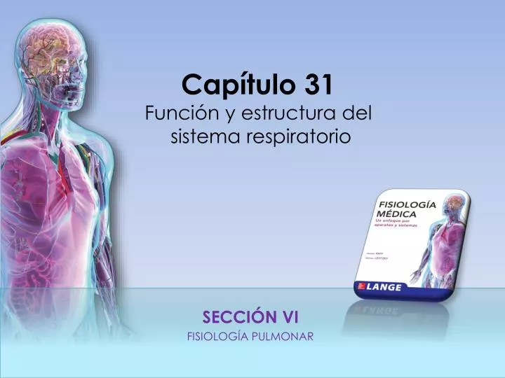 secci n vi fisiolog a pulmonar