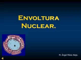 envoltura nuclear