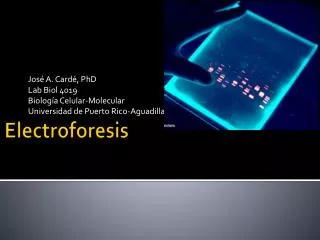 jos a card phd lab biol 4019 biolog a celular molecular universidad de puerto rico aguadilla