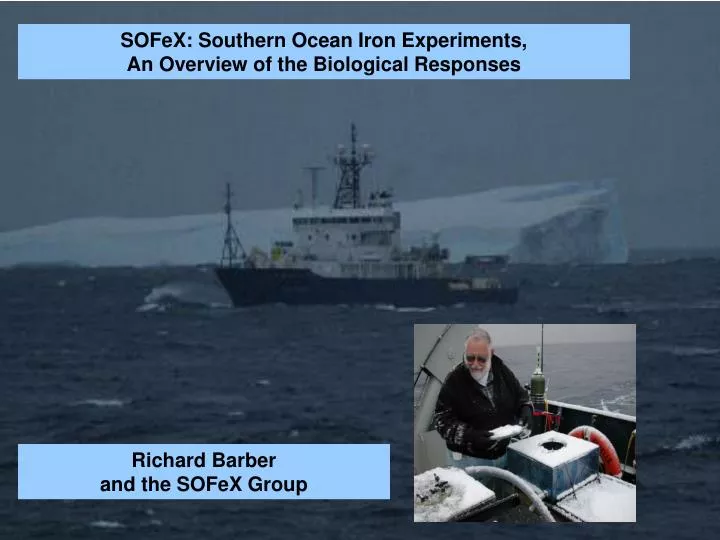 the biological response to in situ southern ocean iron fertilization