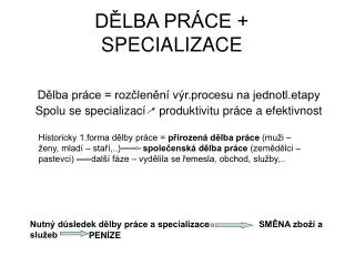 d lba pr ce specializace