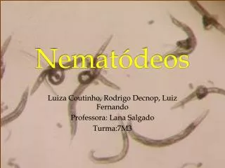 nemat deos