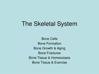 The Skeletal System