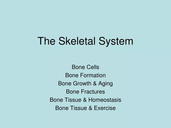 the skeletal system