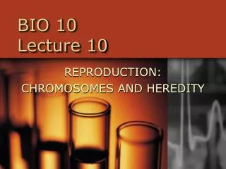 BIO 10 Lecture 10