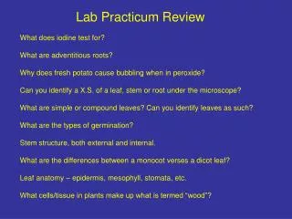 Lab Practicum Review