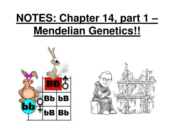 notes chapter 14 part 1 mendelian genetics