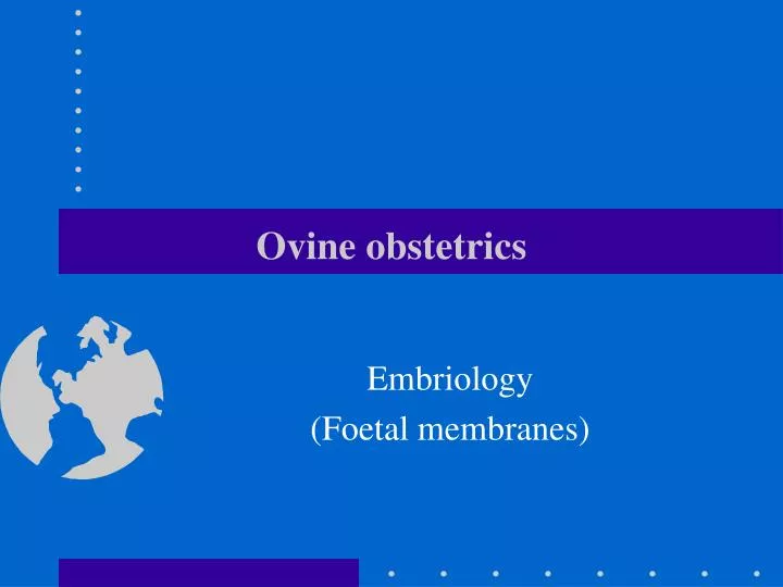 ovine obstetrics