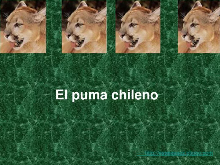 el puma chileno
