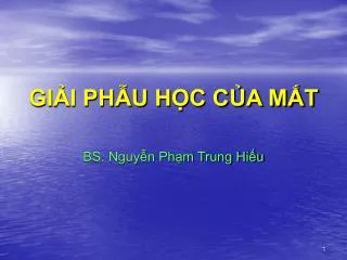 gi i ph u h c c a m t