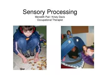 Sensory Processing Meredith Pait / Kristy Davis Occupational Therapist