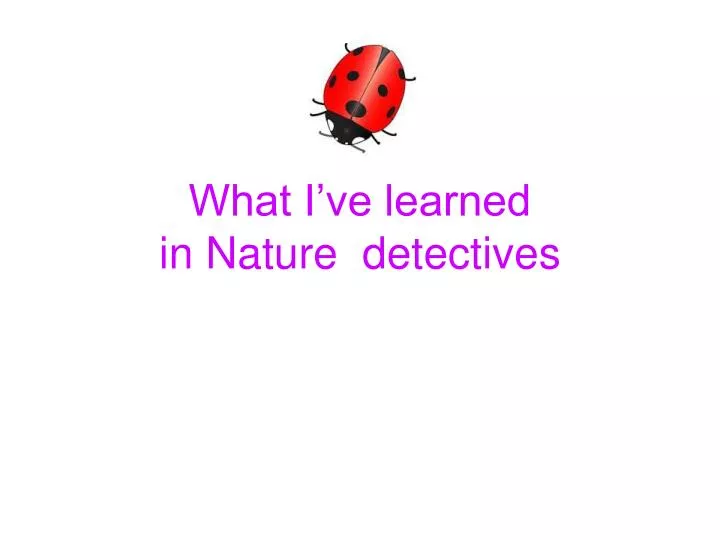 what i ve learned in nature detectives