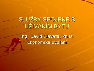 slu by spojen s u v n m bytu
