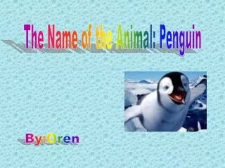 The Name of the Animal: Penguin