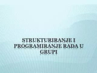 strukturiranje i programiranje rada u grupi