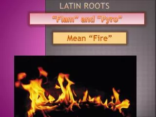 Latin Roots