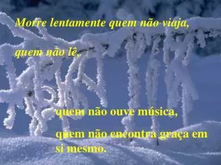 morre lentamente quem n o viaja quem n o l