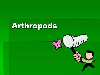 Arthropods