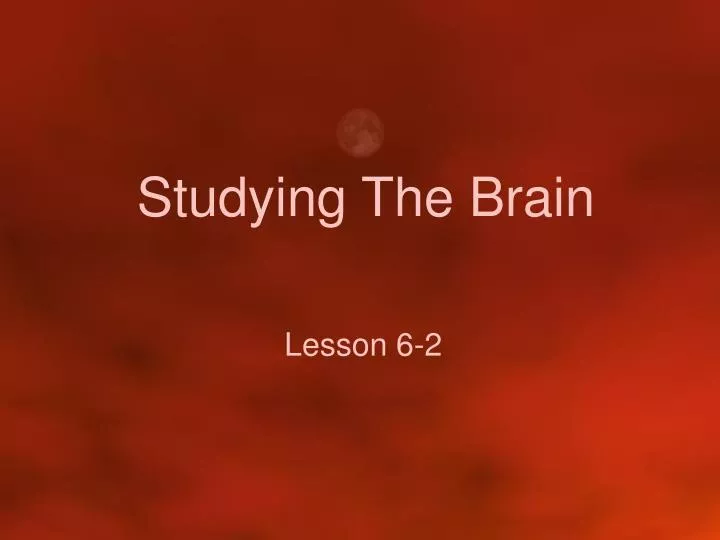 studying the brain