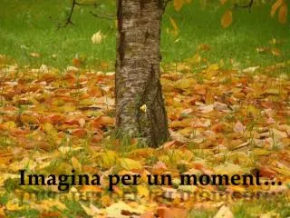 Imagina per un moment …