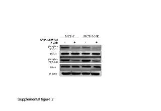 Supplemental figure 2
