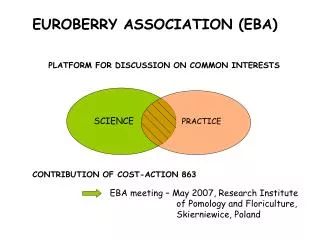 EUROBERRY ASSOCIATION (EBA)
